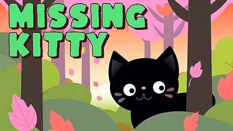 Missing Kitty Game
