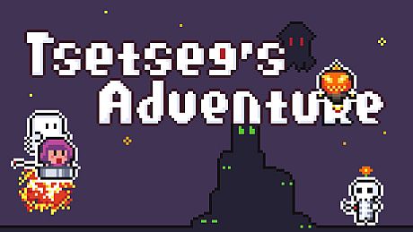 Tsetseg's Adventure