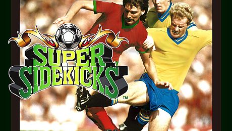 ACA NEOGEO SUPER SIDEKICKS Game