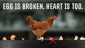 egg is broken. heart is too.