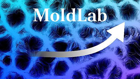 MoldLab Game
