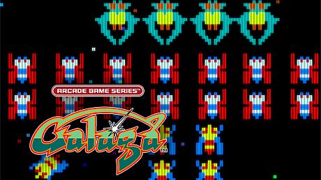 ARCADE GAME SERIES: GALAGA Game