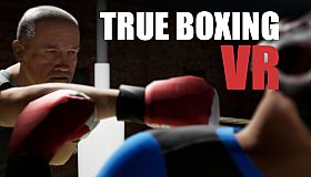 True Boxing VR
