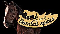 My Horse: Bonded Spirits für PC kaufen