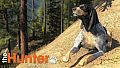 theHunter: Scent Hound Pack