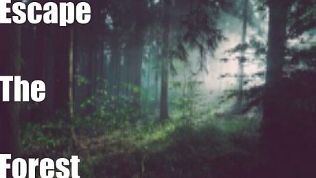 Escape The Forest