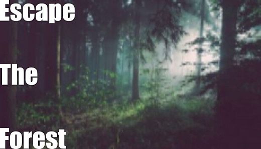 Escape The Forest