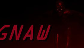Shock and Gnaw