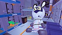 Bunny Memory