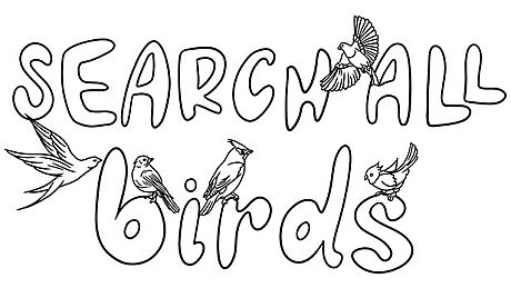 SEARCH ALL - BIRDS Game