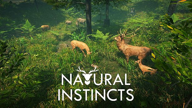 Buy Natural Instincts