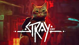Stray