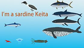 I'm a sardine Keita