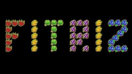 FITRIZ Game