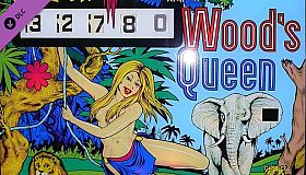 Zaccaria Pinball - Wood's Queen Table