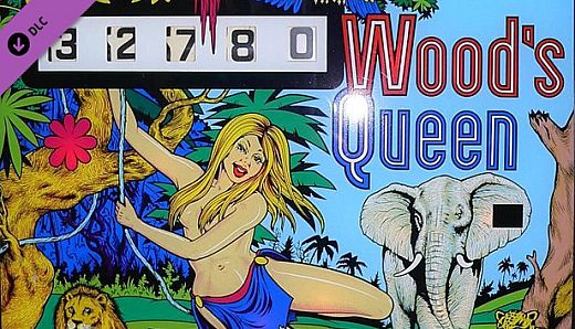 Zaccaria Pinball - Wood's Queen Table
