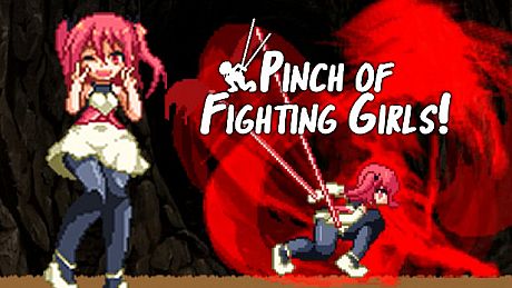 Pinch of Fighting Girls Game