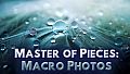 Master of Pieces: Jigsaw Puzzle - Macro Photos DLC