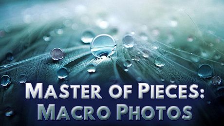 Master of Pieces: Jigsaw Puzzle - Macro Photos DLC DLC