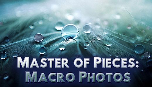 Master of Pieces: Jigsaw Puzzle - Macro Photos DLC