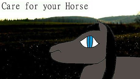 Care for your Horse Game