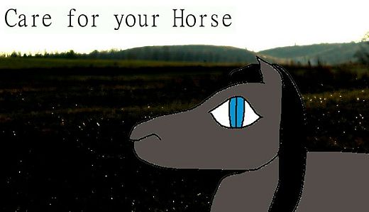 Care for your Horse