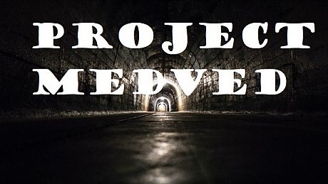 Project Medved Game