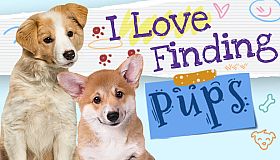 I Love Finding Pups
