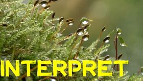Interpret
