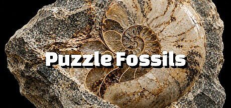 Puzzle Fossils