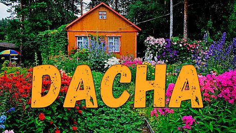DACHA Game
