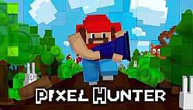 Pixel Hunter