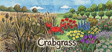 Crabgrass Game