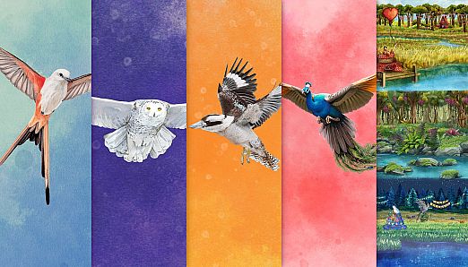 Wingspan + European + Oceania + Asia + Decorative Packs