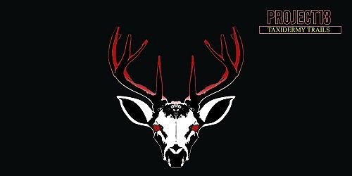 Project 13: Taxidermy Trails