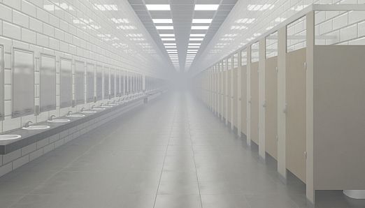THE BATHROOMS