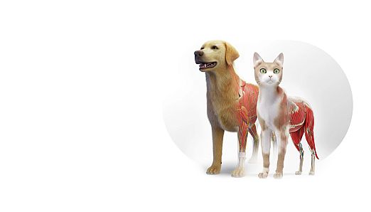 Animal Anatomy VR