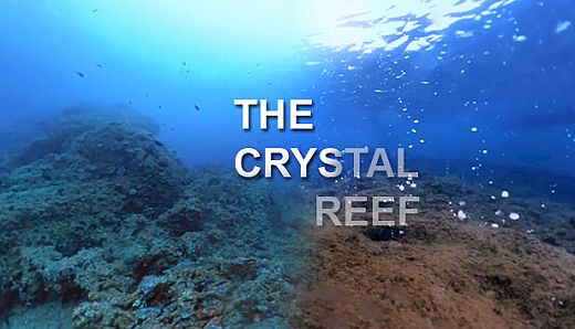 The Crystal Reef