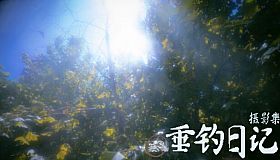 垂钓日记 The Sailor's Guide to Game Design - Nature 摄影集