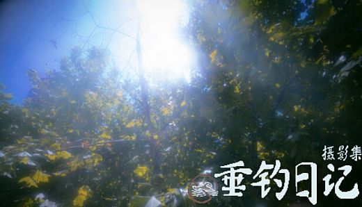 垂钓日记 The Sailor's Guide to Game Design - Nature 摄影集