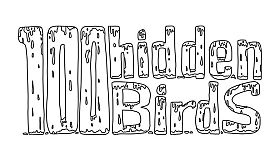 100 hidden birds