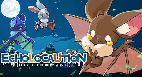 ECHOLOCAUTION