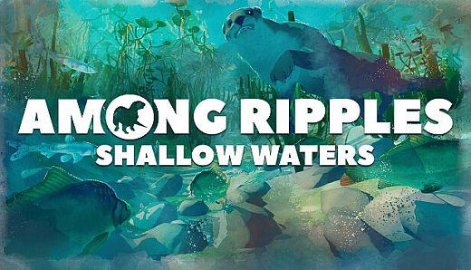Among Ripples: Shallow Waters