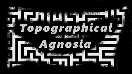 Topographical Agnosia Game