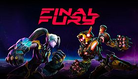 FINAL FURY