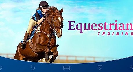 Equestrian Training Game