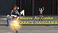Massive Air Combat - KARATE HASEGAWA