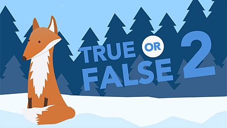 True or False 2 Game