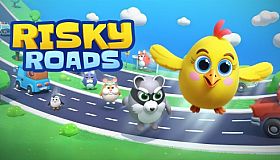 Risky Roads