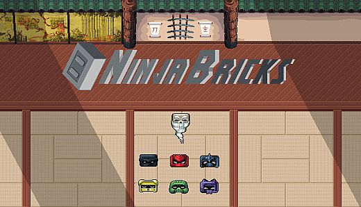 Ninja Bricks